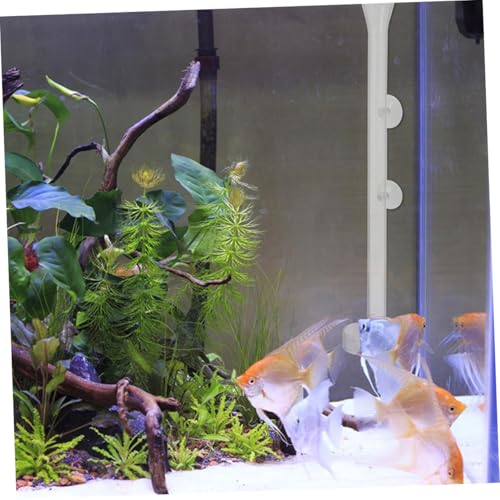 DOITOOL Shrimp Feeder Tube with Feeding Dish, Crystal Glass Aquarium Feeder, 30cm Fish Tank Accessory for Aquarium Shrimp Feeding