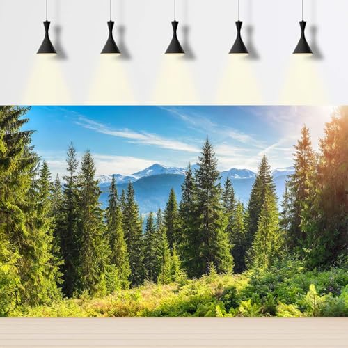 Majestic Mountain Forest Aquarium Background Scenic Evergreen spruce coniferous trees Fish Tank Background High mountains Pine Tree Terrarium Backgrounds Green Meadows Reptile Tank Backgrounds 24x12in - color: Jade Green, size: 24(W)x12(H)in