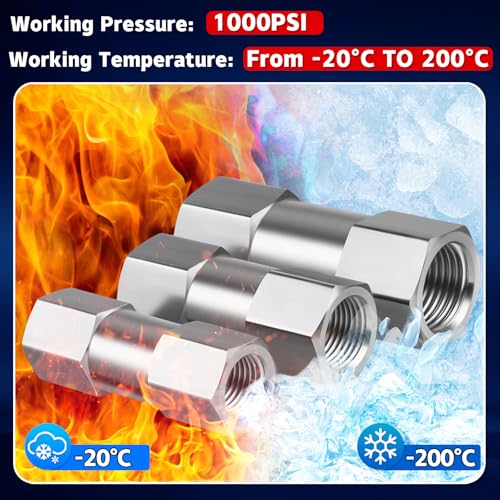Boltigen Stainless Steel 304 1/2" NPT Spring Check Valve, 1000 PSI, -20C to 200C, Industrial Check Valve, 2 Ports, NPT Connections - size: 1/2'' NPT