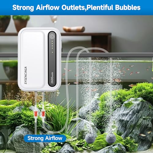 Aquarium Air Pump Rechargeable Aerator for Bait Bucket, Portable Battery Powered Air Pump for Aquarium, Fish Tank Air Pump Bubbler Aerator for Outdoor Fishing - style: 2 outlet 2600mAh