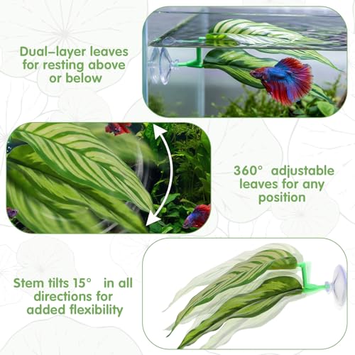 4 Pack Betta Fish Hammock Plant Leaf Pad, Improves Betta Health by Simulating The Natural Habitat, Fish Spawning Grounds Breeding Resting Bed, Fishes Tank Accessories Aquarium Décor