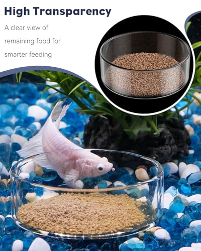 Pawfly 3 Pcs Shrimp Feeding Dish, Clear Glass Aquarium Shrimp Feeder, Transparent Food Tray for Fish Tanks and Terrariums