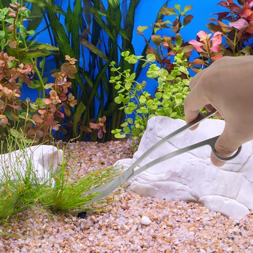 Stainless Steel Aquarium Scissors, Wave Design, Professional Aquaplant Maintenance Tool, Silver Tone, 1 Pcs