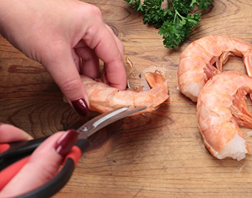 RSVP International Endurance Collection Seafood Tool, Scissors, Stainless Steel - size: Scissors