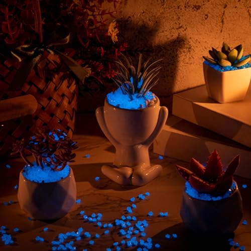 Landical 40000 Pcs 3-5mm Glow in The Dark Rocks for Fish Tank Aquarium Luminous Gravel Bulk Pebble Craft Small Landscaping Glow Sand Stone for Potted Plant Succulent Decor, 2.2 Lb/ 1 kg(Dark Blue) - color: Dark Blue