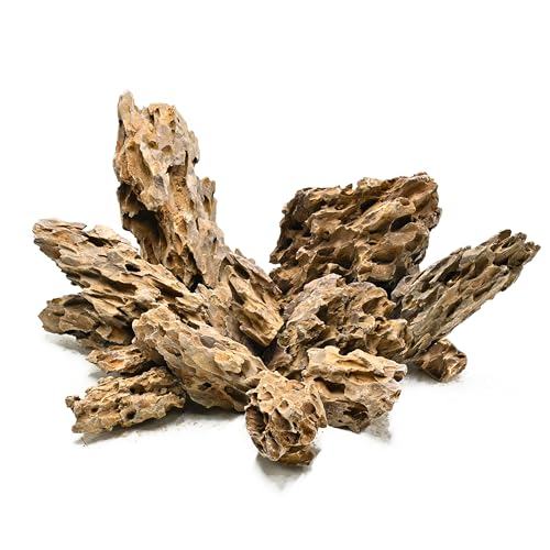 Unocho Dragon Stone Aquarium Rocks 5lb Seiryu Stone for Aquariums Landscaping Model Fish Tanks Terrariums Vivariums Paludarium Amphibian Enclosures(2-4 inches) - size: 5LB(2-4 inches)