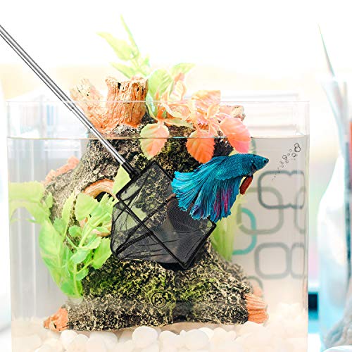 Sumind 2 Pieces Fish Tank Net Aquarium Mesh Fishes Net Long Handle Fish Nets with Extendable 12.5-27.5 Inch Stainless Steel Catch Nets for Aquarium Accessories 4 & 6 Inch - color: Black