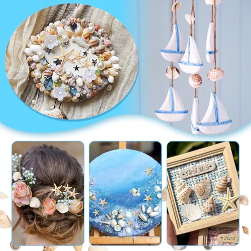 1200 Pieces Tiny Sea Shells Small Natural Starfish Mixed Ocean Beach Spiral Seashells for Home Decorations,Wedding Decor,Candle Making,Beach Theme Party,DIY Crafts and Vase Filler