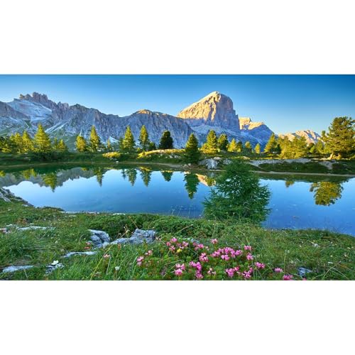Mountain Aquarium Background Blue Sky Tranquil Lake Fish Tank Background Sunset Mountain Rock Nature Landscape Reptile Enclosure Backgrounds Mountain Pine Trees Meadow Reptile Tank Backgrounds 24x12in - color: Blue_Green, size: 24(W)x12(H)inches/ 60(W)*30