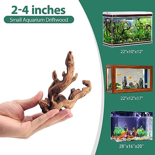 Natural Driftwood for Aquarium Decor, 10-Piece 2''-5'' Small Driftwood for Decorations on Fish Tank, Reptiles Bearded Dragon Accessories or Air Plants