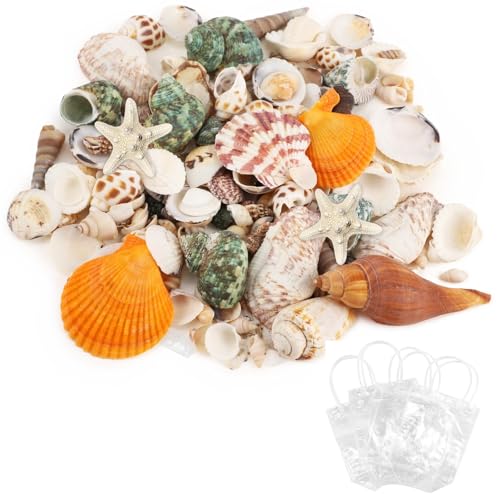 200-320 Pcs Mixed Sea Shells for Crafting, 1000 g Natural Seashells with Plastic Starfish, Various Sizes Seashells for Decoration, DIY Craft Projects, Home Decor and Fish Tank