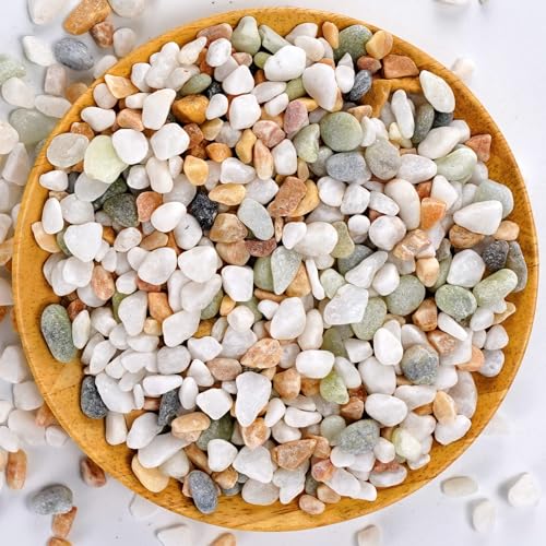 Mixed Color Decorative Rocks Stones Pebbles for Plants Garden Gravel White Rocks with Yellow, Green Pastel Accents Vase Filler Rocks Natural Stone Top Dressing for Potted Plants Succulents 2.2 lbs - color: Three Colors Rocks, size: 2.2 lb
