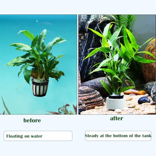 15pack Aquatic Plants Fixed Ring Set Green Aquatic Plants Fixed Rings Anti-Floating Ceramic Aquarium Plant Rings Aquarium Decoration Fish Tank Accessories
