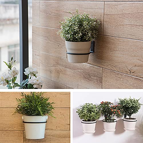 Plant Holder Ring 6 Inch Wall Mounted, 6 Pack Flower Pot Hangers Metal Plant Stand Hanging Bracket Basket Hooks - size: 6 inch-6 Pack