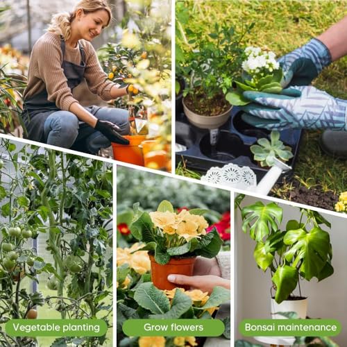 5 Pack Stackable Monstera Plant Support, Garden Plant Support Stakes for Indoor Outdoor Plants, Climbing Plant Support Structures Plant Holder Stick Moss Pole for Support Tall Potted Plants (5)