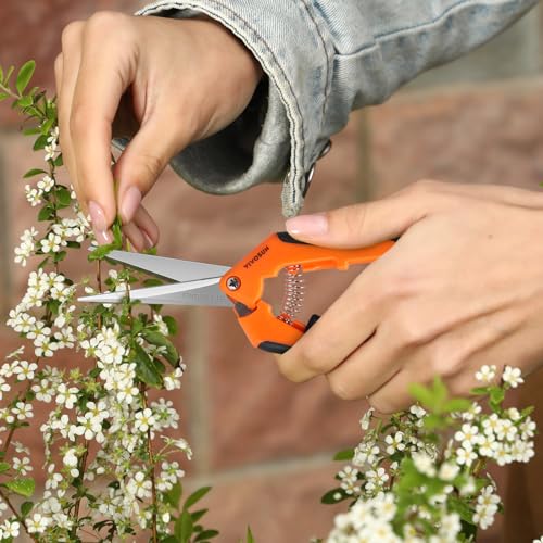VIVOSUN 2-Pack 6.5 Inch Gardening Scissors Hand Pruner Pruning Shear with Straight Stainless Steel Blades Orange - style: Orange Straight Blade