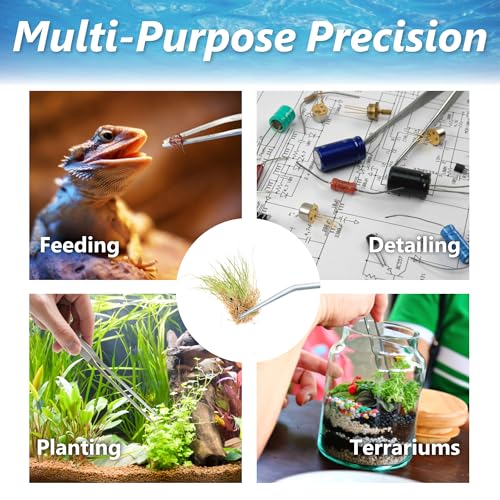 3-Piece Aquascaping Tools Set – 25cm / 9.8in Straight & Curved Long Tweezers, Scissors, Fine Tip 1mm – Aquarium Plant Care, Terrarium Tools