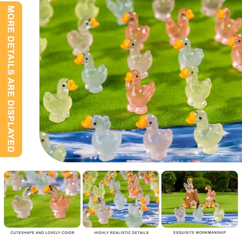 60 pcs Mini Resin Swan Many Styles Variety Tiny Luminous Animals Figures Miniature Little Small Animal Figurines Bulk for Micro Fairy Garden Landscape Accessories Hide Crafts Decor Aquarium - color: Swan-60p