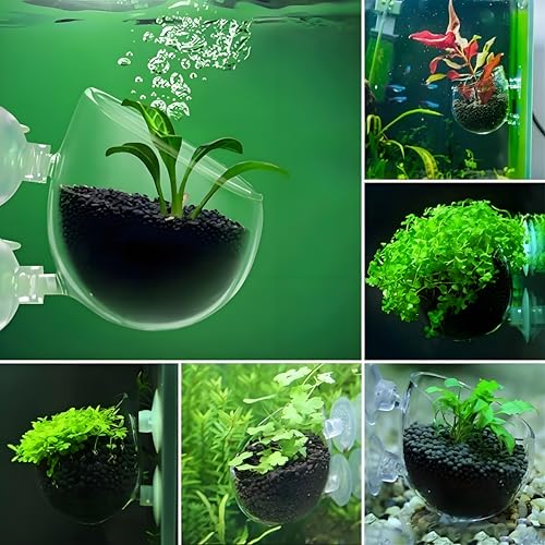 2Pcs Aquarium Plant Pot, Fish Tank Planter with Suction Cups, Plants Holder Decoration Cup