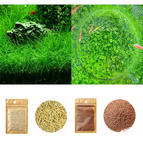 2 Pack Aquarium Plant S.e.e.d Set, not Artificial plasticl Plant. Real Grass Tank Decor Replacement for Resin or Plastic Grass N0：9527-13