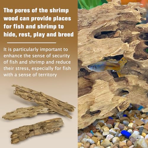 PINVNBY Natural Driftwood for Aquarium Large Reptile Terrarium Decor Decorations Assorted Branches Dearded Dragon Tank Accessories (Slim Style: 7.87-11.8 inches/3 Pack) - size: L:Honeycomb wood (7.87- 11.8 inches/3 Pack)