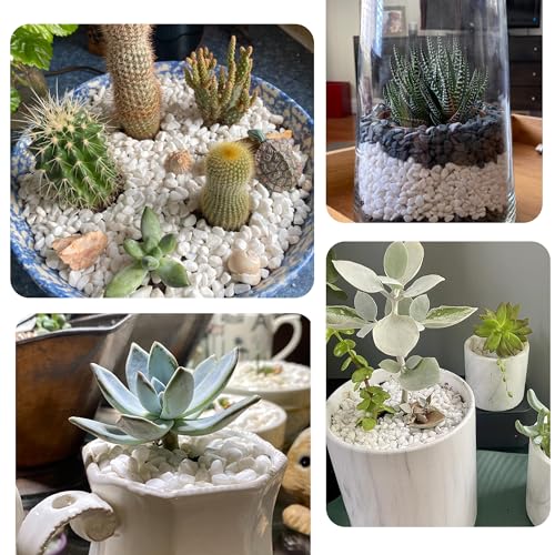 18lb 1/4" Small White Rocks for Plants,Potting,Succulents Aquarium Fish Tank Garden Vases Decorative Pebbles Gravel Rocks Stones - color: white, size: 18lb