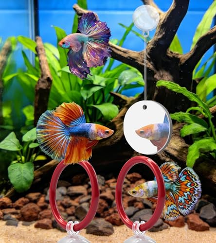 Betta Fish Toys,Including Betta Feeding Ring and Floating Betta Sports Mirror,Betta Enrichment Toys for Small Tank,Betta Fish Tank Accessories