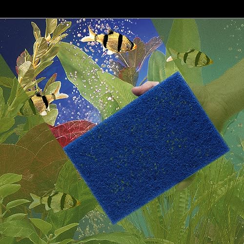 Penn-Plax WZP3 Wizard Scrubber Pad – for Glass Tanks Will not Scratch Aquarium Surfaces – Removes Accumulated Grime - 6” x 9”
