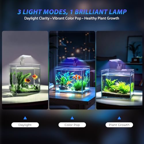 Mini Clip-On Aquarium Light 7W USB Dimmable Fish Tank Lamp with 3 Light Modes (Full Spectrum/White/RGB), 9-Level Brightness, Compact LED Light for 1–3 Gallon Aquariums (Adapter Not Included) - color: Black