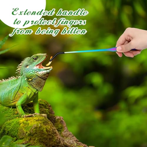 Lasnten 2 Pcs Extra Long Stainless Steel Reptile Feeding Tongs with Rubber Tip 10 Inch, 10.5 Inch Bearded Dragon Aquarium Straight and Curved Long Tweezer Terrarium Feeder Tool for Tank(Colorful) - color: Colorful, size: 10 Inch, 10.5 Inch