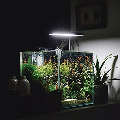 Allcolor Artisan Grade Ultra Clear Rimless Aquarium Tank, Low Iron Glass Fish Tank for Professional Aquascaping and Planted Layouts, 6-60 Gallons (7Gal - Top Glass Canopy) - size: 7Gal 11.8"L×11.8"W×11.8"H