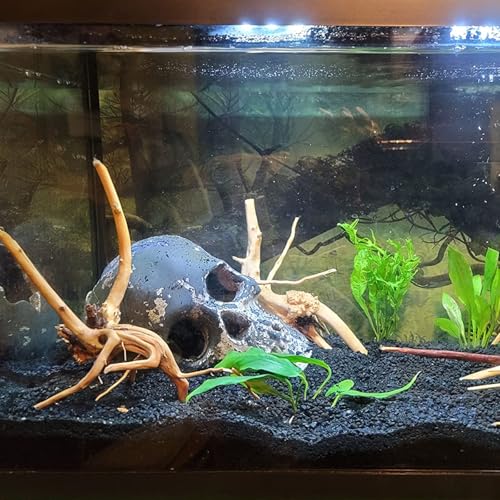 3 Pcs Natural Spiderwood for Aquarium, Aquarium Driftwood Freshwater 10-12 Inch, Assorted Size Spider Wood, Twisted Branches for Fishtank Accessories, Reptile Terrariums Decorations - color: 3 PackSpiderwood 10-12in