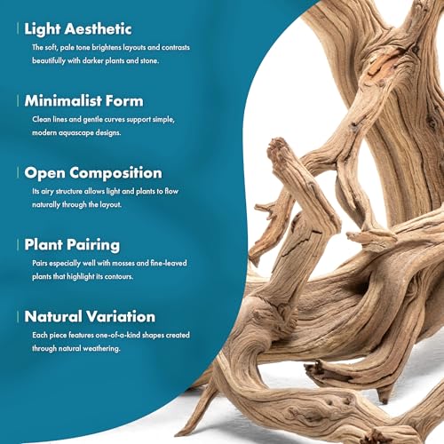 SubstrateSource Natural Aquarium Driftwood for Fish Tanks, Terrarium, Reptile Habitats, Freshwater Aquatic Decor - Small to Large Pieces (Ghost Wood (Large) 18-26", 1 Piece) - size: 1 Piece