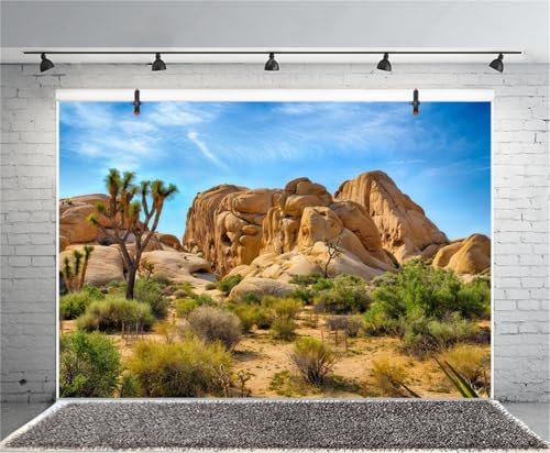 Polyester 5x3ft Joshua Tree National Park Backdrop Arid Barren Cactus Sandstone Rock Climate Mountain and Desert Scenery Backdrop Desert Terrarium Background - size: 5x3ft