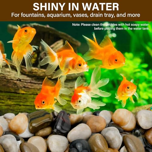 NUPICK 3lb River Rocks for Plants Indoor, 2-3Inch Mixed Pebbles for Vases Fillers, Decorative Gravel for Fish Tank, Natural Polished Stones for Succulent, Bonsai, Landscaping, Bird Baths - color: Mixed, size: 2-3"-3lb
