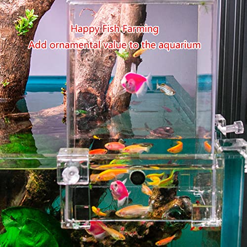 Fish Breeder Box for Fishtank Acclimation Hatchery Incubator Landscaping Aquarium Tank Hatchery Incubator Breeding