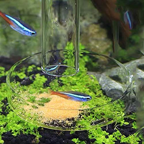 1PCS 200MM Aquarium Feeding Tube Fish Feeder Tube Clear Glass Shrimp Feeder with Glass Dish for Fish Tank Aquarium