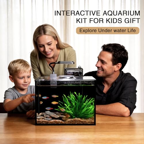 2 Gallon Betta Fish Tank, Small Aquarium Kit,Glass Small Fish Tank,Betta Fish Tank with a lid and Light and Filter, Small Transparent Glass Fish Tank with Light and Filter (Black Glass Background) - size: 2 Gallon