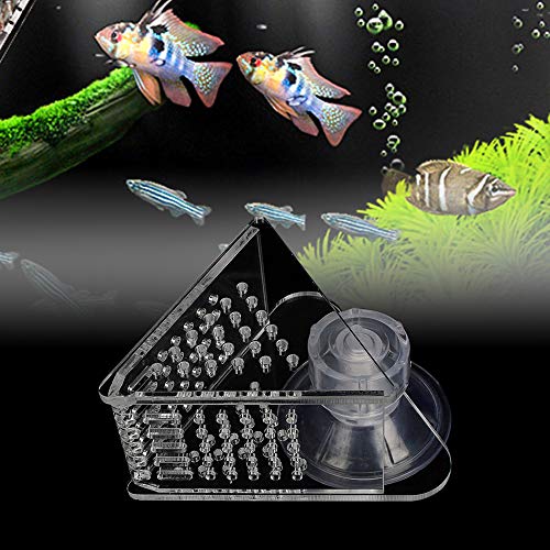 Aquarium Cone Red Worm Feeder Acrylic V-Shape Automatic Fish Feeder Brine Shrimp Food Feeding Cup with Suction Cup