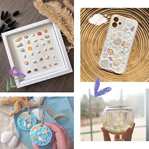Premium Tiny Seashell Mix, Including Sea Shells, Sea Snails and Starfish total 300+PCS (8 Kinds), Shells for Crafts Decorating Resin and Mosaics Projects DIY Crafts Home Decor Beach Themed Party