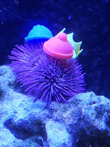 Sea Urchin Hats, Reef Safe 3D PTEG Plastic, Fun Decor for Your Aquarium, Made by SimplySafe Aquatics