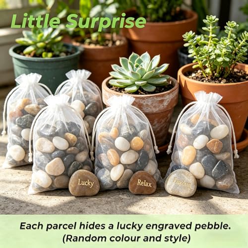 SIDONG 10 LB Mixed River Rocks, 0.3-0.5 Inches High Polished Pebbles for Indoor Plants, Aquarium Rocks Used in Fish Tank, Decorative Stones for Plants, Vases, Home Décor, Crafting, Garden Landscaping - color: Mixed, size: 10 Pounds