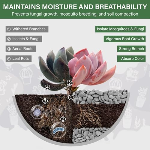 NUPICK 6lb Mexican Beach Pebbles, 1" Black River Rocks for Landscaping, Smooth Garden Rocks for Outdoor Paving, Natural Black Pebbles for Plants, Decorative Stones for Planters, Fish Tank, Fountain - color: Gray, size: 1", 6lb