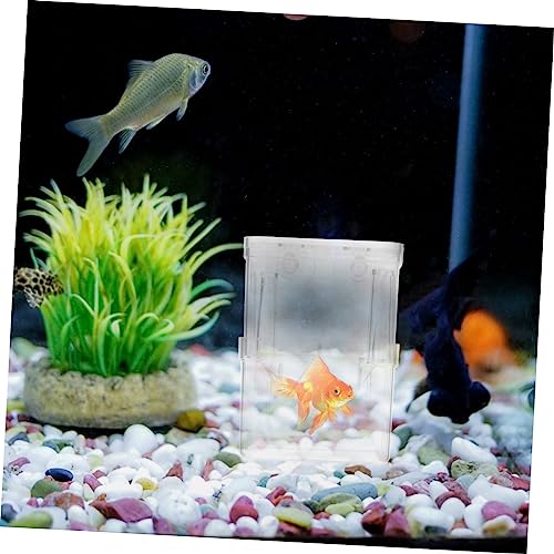 TOYANDONA 4Pcs Fish Breeding Box Aquarium Isolation Container for Safe Hatching and Acclimation Easy Clean Compact with Suction Cups for Betta Guppy and Shrimp