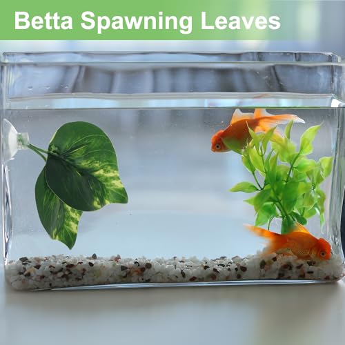 Betta Fish Leaf, Natural Habitat Simulation for Betta Spawnings Grounds, Betta Spawnings Leaves, Resting Bed, Double Leaves, Dark Green