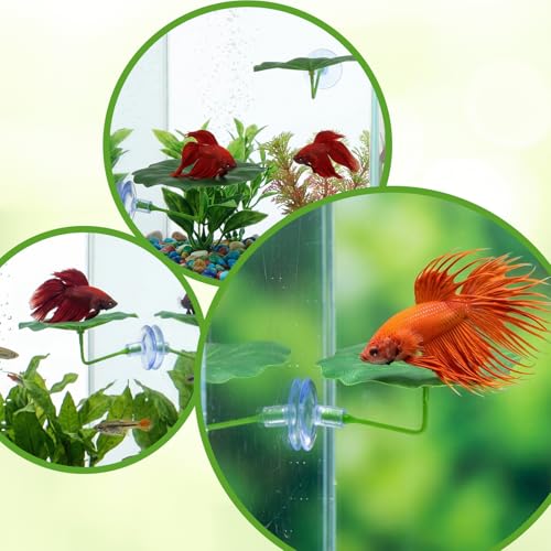 3 Pcs Betta Leaf Hammock, Betta Fish Leaf Hammock Soft Aquarium Decor Plastic Plants, Fish Tank Decoration for Sleeping Resting Hiding Playing