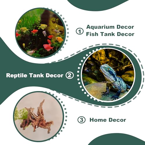 Natural Wood Driftwood for Aquarium Fish Tank Decor,Assorted Driftwood Trunk Branch for Reptile Tank Decor (LLM-Driftwood (4 to 8 Inch)-Pack of 4) - color: LLM-Driftwood (4 to 8 Inch)-Pack of 4