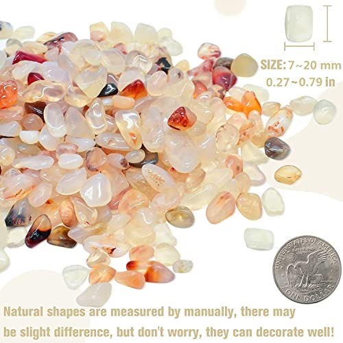 Halatool 1LB Crystal Pebbles 0.27"- 0.79" Natural Landscaping Pebbles Aquarium Gravel Decorative Polished Stone Suitable for Plants Home Decoration DIY Handmade Fish Tanks Vase Filler - size: 1 LB, style: Crystal Pebbles