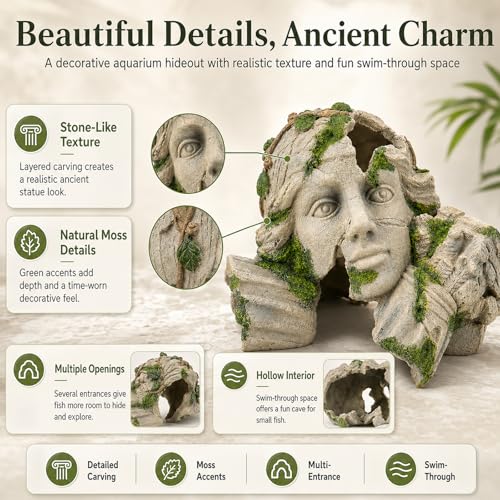 Mechpia Aquarium Hideout Cave Decor, Betta Fish Tank Decorations Cave Ornament Accessories for Breeding Betta Goldfish Shrimp Conch Reptile Leopard Gecko