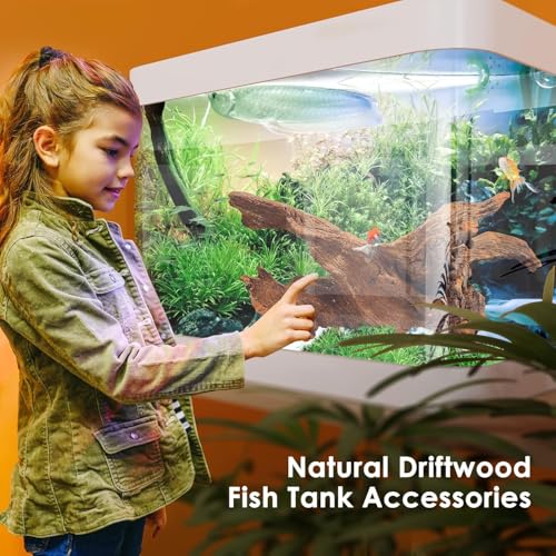 Jorewood Natural Large Aquarium Driftwood for Fish Tanks & Reptile Terrariums – 100% Safe Fish Tank Decorations, 2-Piece 10-14 Inch Unique Twisted Branches Low Tannin, Easy to Sink - size: Mopani Driftwood 10 to 14 Inch (Pack of 2)